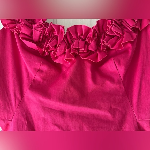 Maggy London Hot Pink‎ Ruffle Mini Dress - Picture 3 of 10